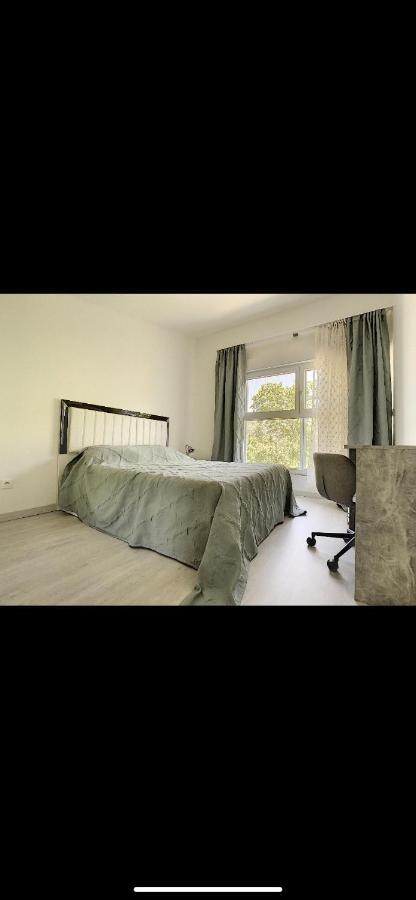 La Villa Petite Camargue แซ็ง-ลุยส์ ภายนอก รูปภาพ